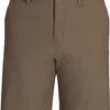 Outdoor Research Ferrosi Shorts - 10" Inseam - Men's|-|Short Ferrosi - Entrejambe 10" - Homme -Altitude Sports ORR 287645 7EMorel